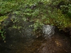 Creek-2