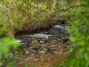 Creek