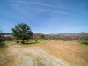 Looking-SW
